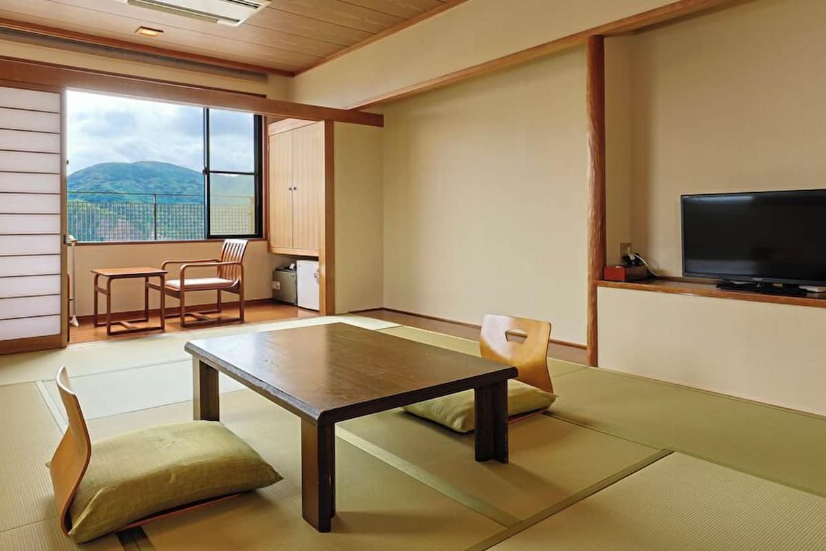 A traditional Japanese room with tatami flooring, a low table, a television, and a view of mountains.