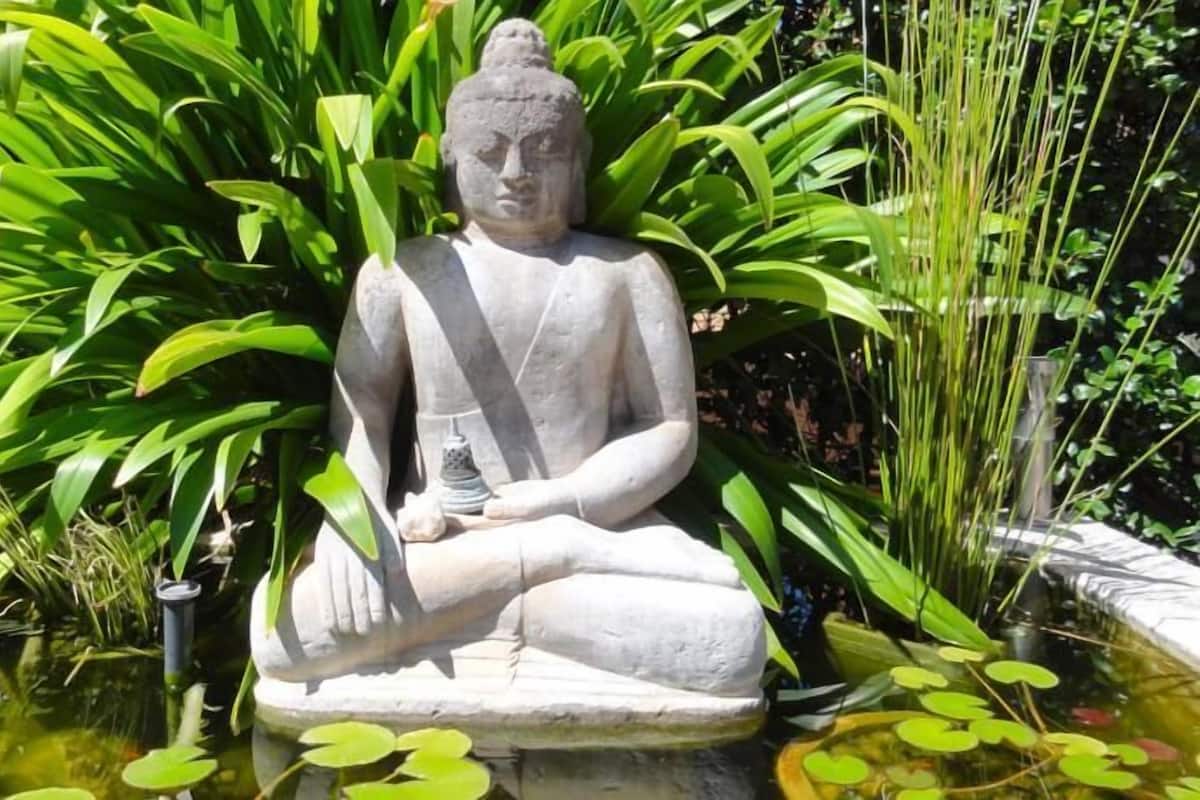 A stone Buddha statue seated in a pond surrounded by lush green foliage.