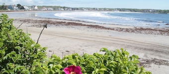 The Rhumb Line Resort