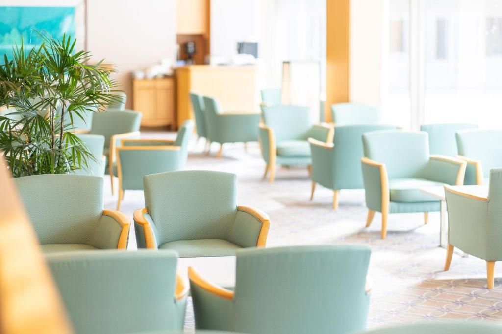A seating area with chairs and a potted plant.