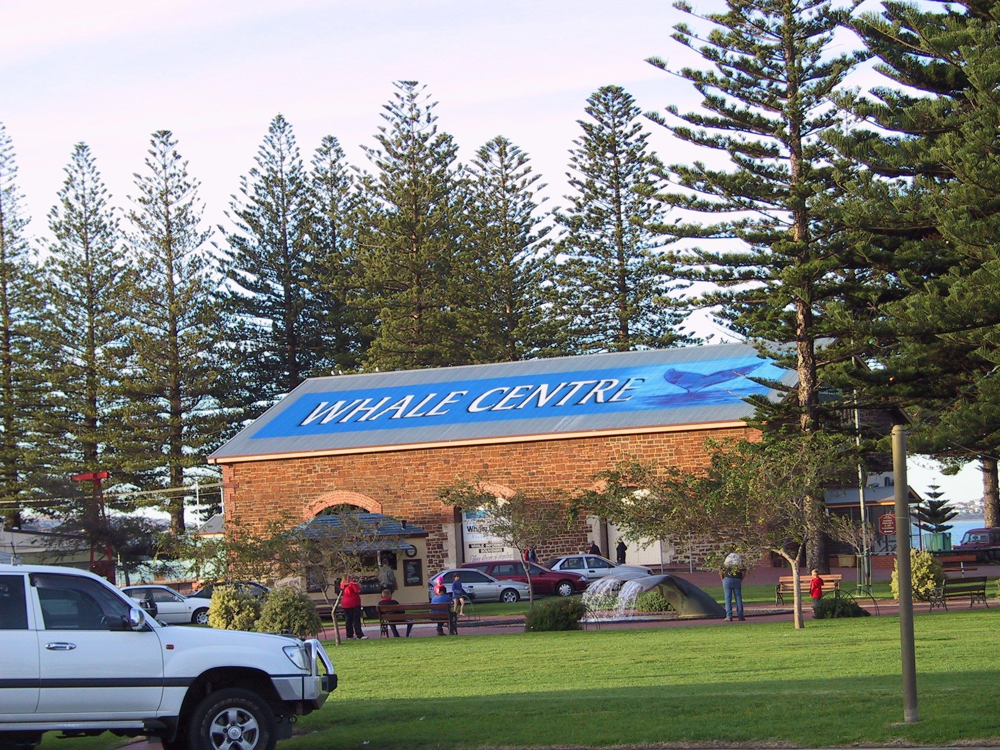 Un edificio con un cartello che riporta la scritta "Whale Centre", circondato da alberi e auto parcheggiate.