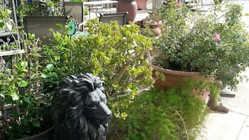 Taman