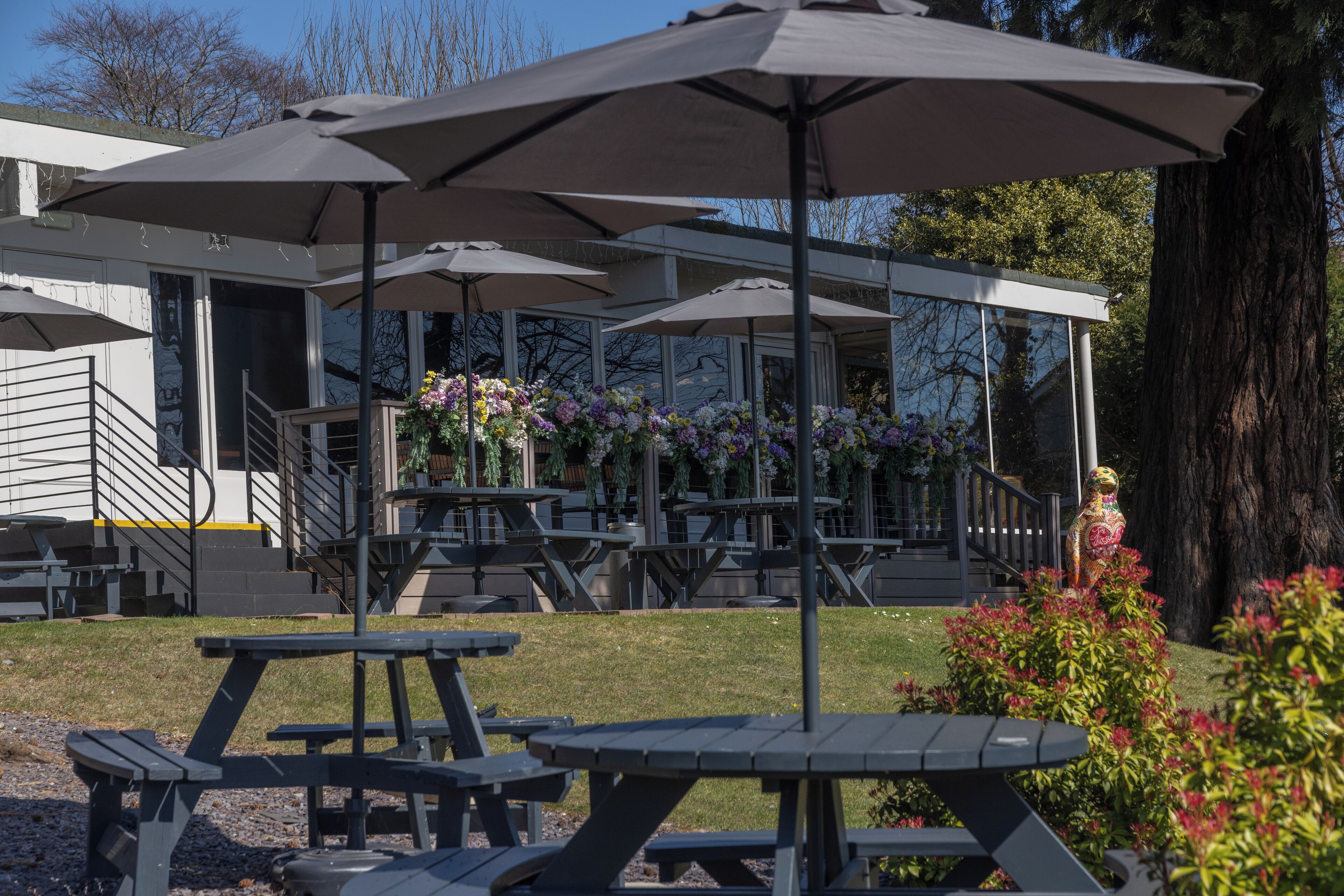 テラス / パティオ