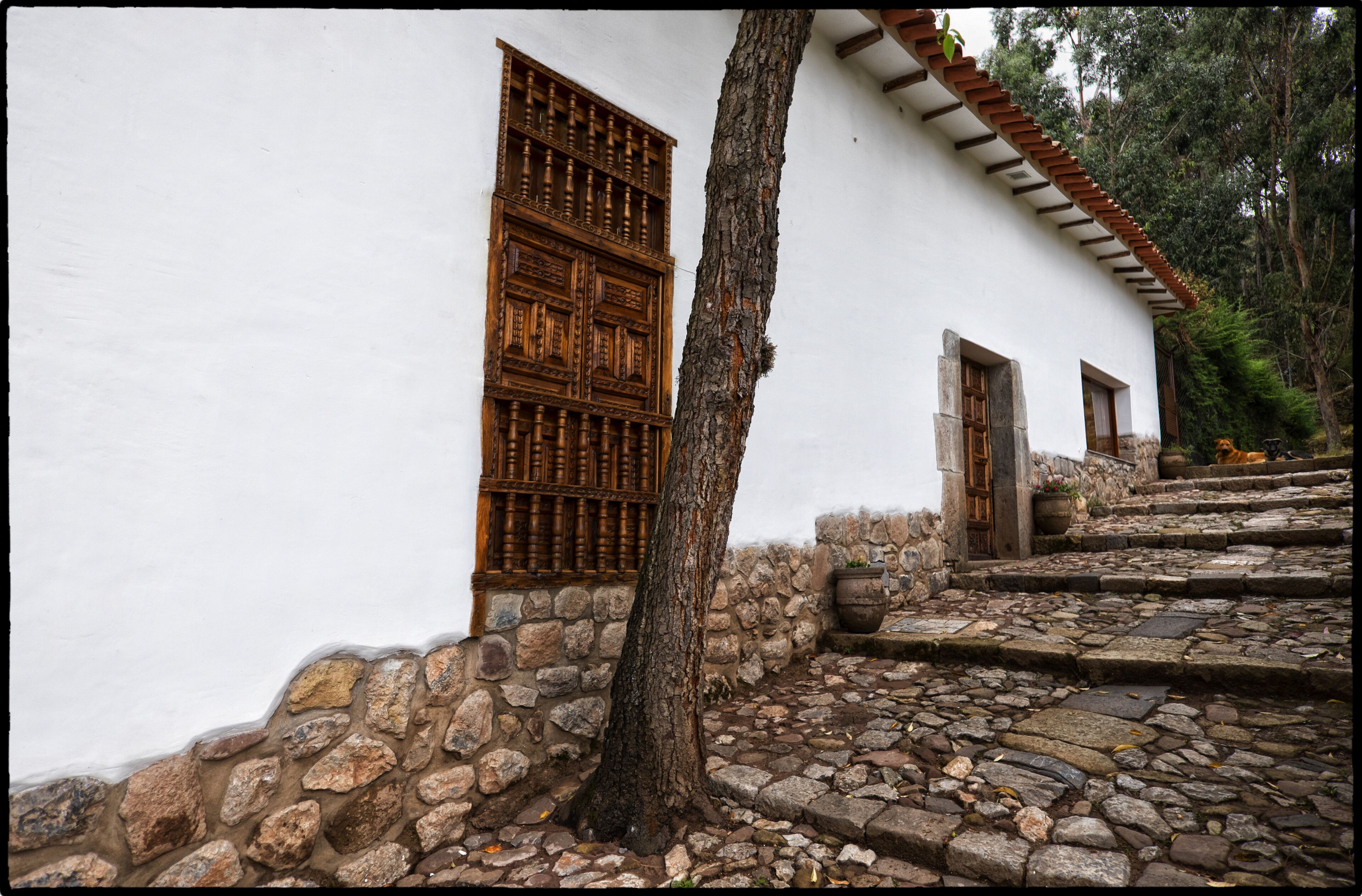 Un sentier de pierres rustique mène à un bâtiment blanc doté de portes et de fenêtres en bois.
