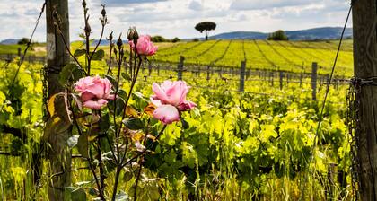 Villa Loggio Winery and Boutique Hotel