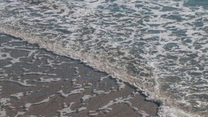 Una playa con olas que lamen suavemente la orilla.