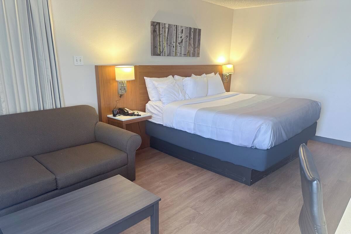 A hotel room with a bed, a sofa, a nightstand, and a lamp.
