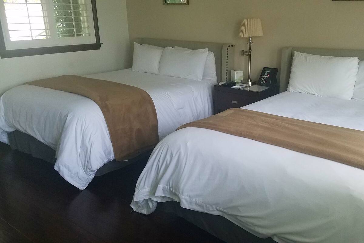Two single beds with white linens and brown throw blankets, a bedside table with a lamp, and a window with blinds.