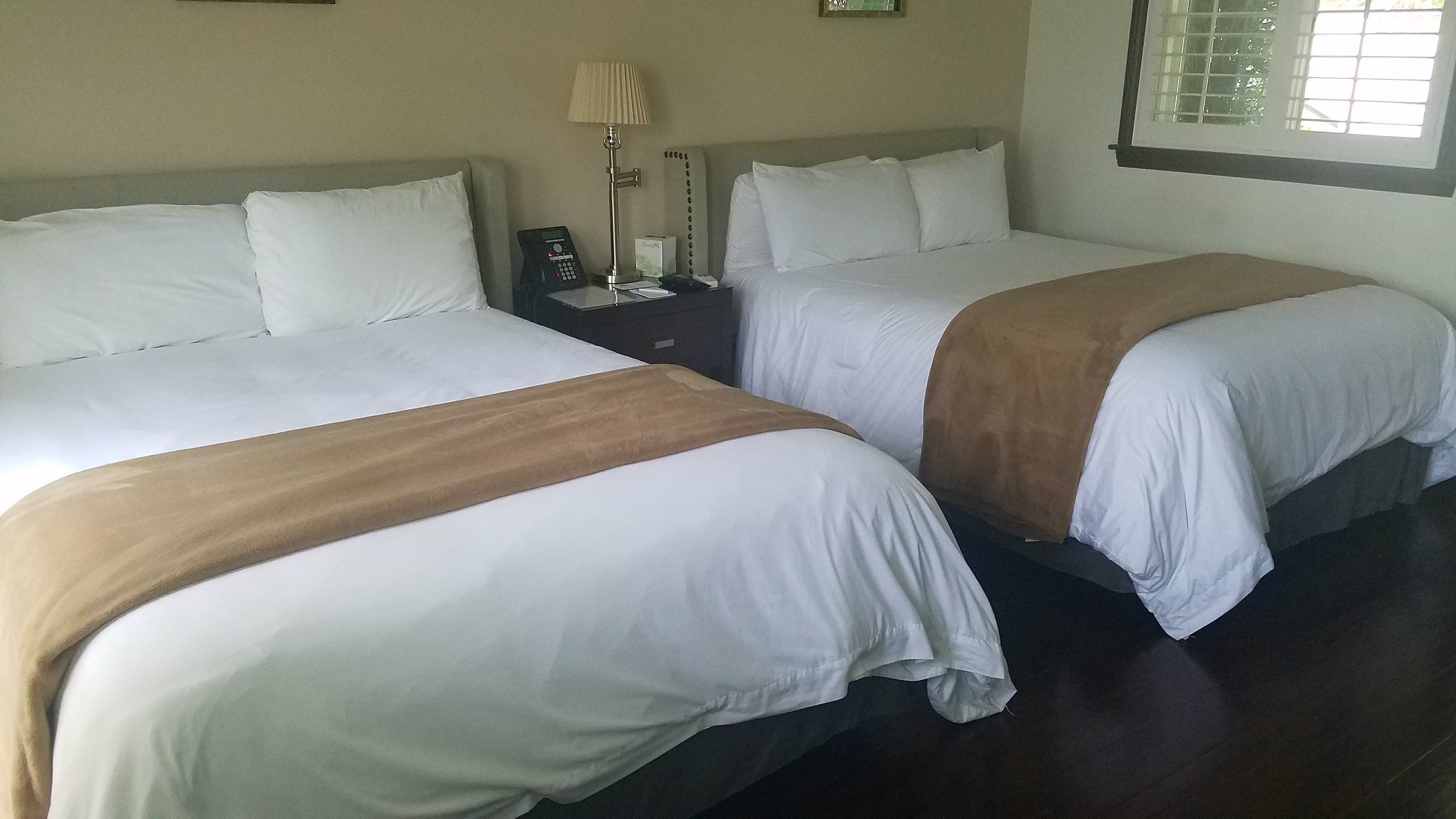 A hotel room with two beds, each with white bedding and a brown throw blanket. There is a nightstand with a lamp and a phone between the beds.