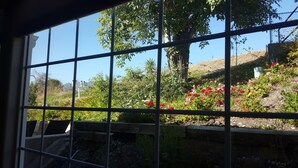 A view through a window with a metal grid, featuring a garden with various plants and flowers, a wooden bench, and a stone wall.