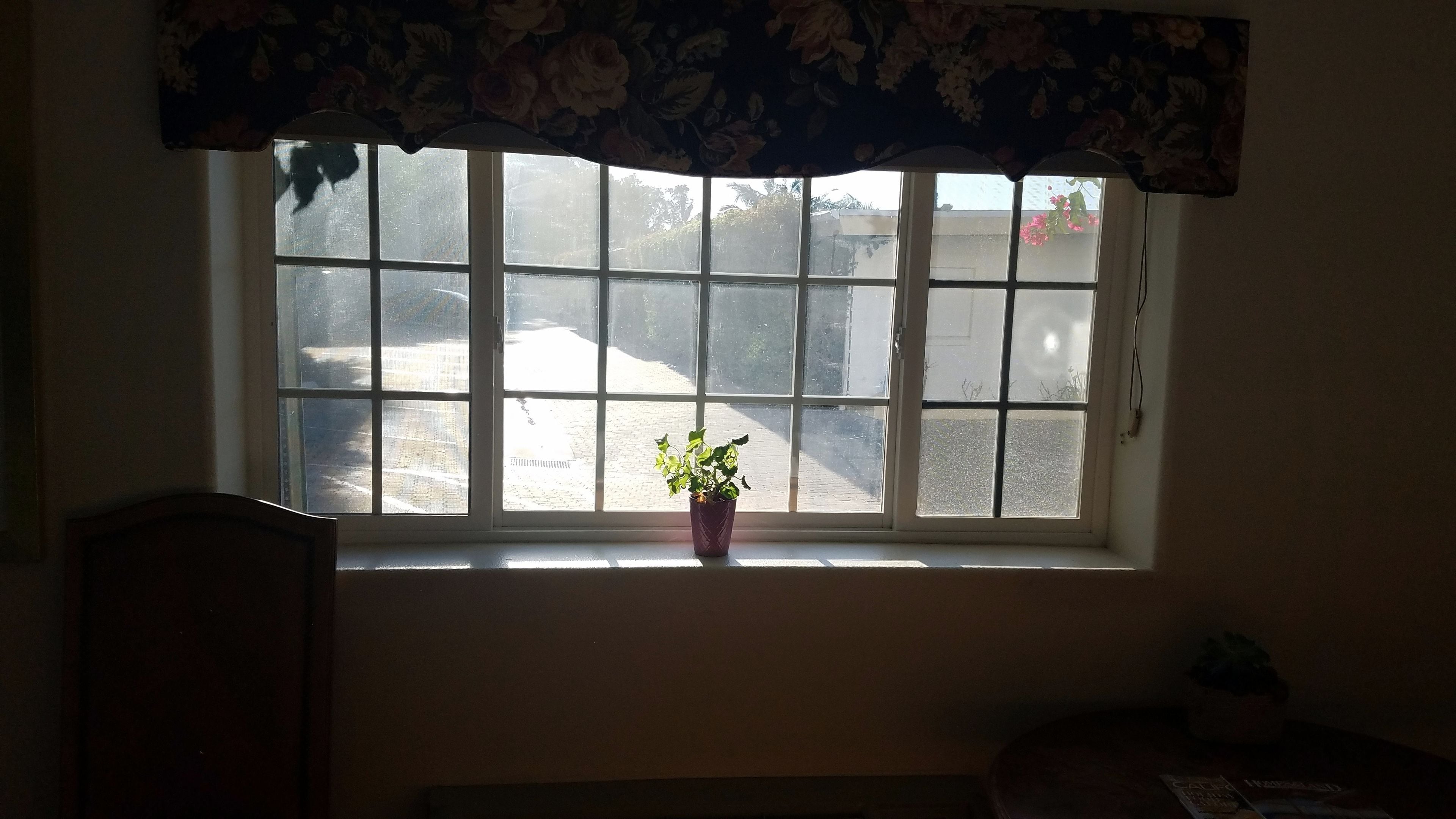 A window with a floral valance, a potted plant on the sill, and a view of a street outside.