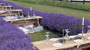 Mesas para comer al aire libre dispuestas con platos blancos, vasos transparentes y velas, rodeadas de bojes morados.