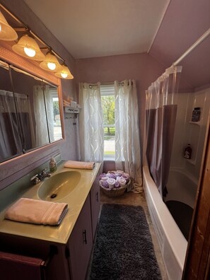 Animal Room (1 Queen Bed) | Free WiFi, bed sheets - Emily's Place B&B (Clearview)