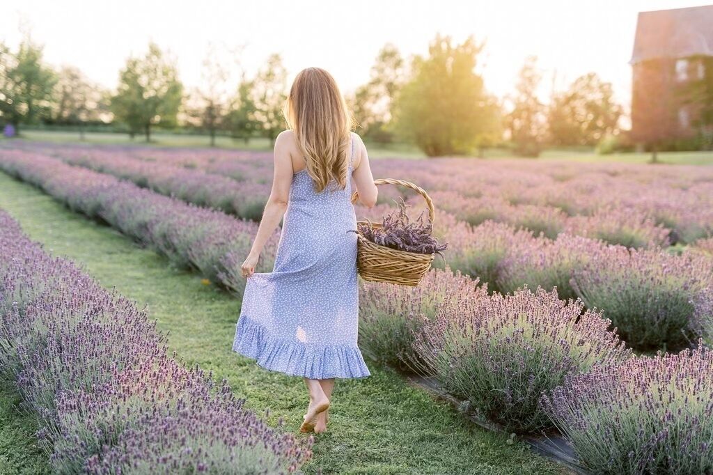 A woman walking through a lavender field carrying a basket.