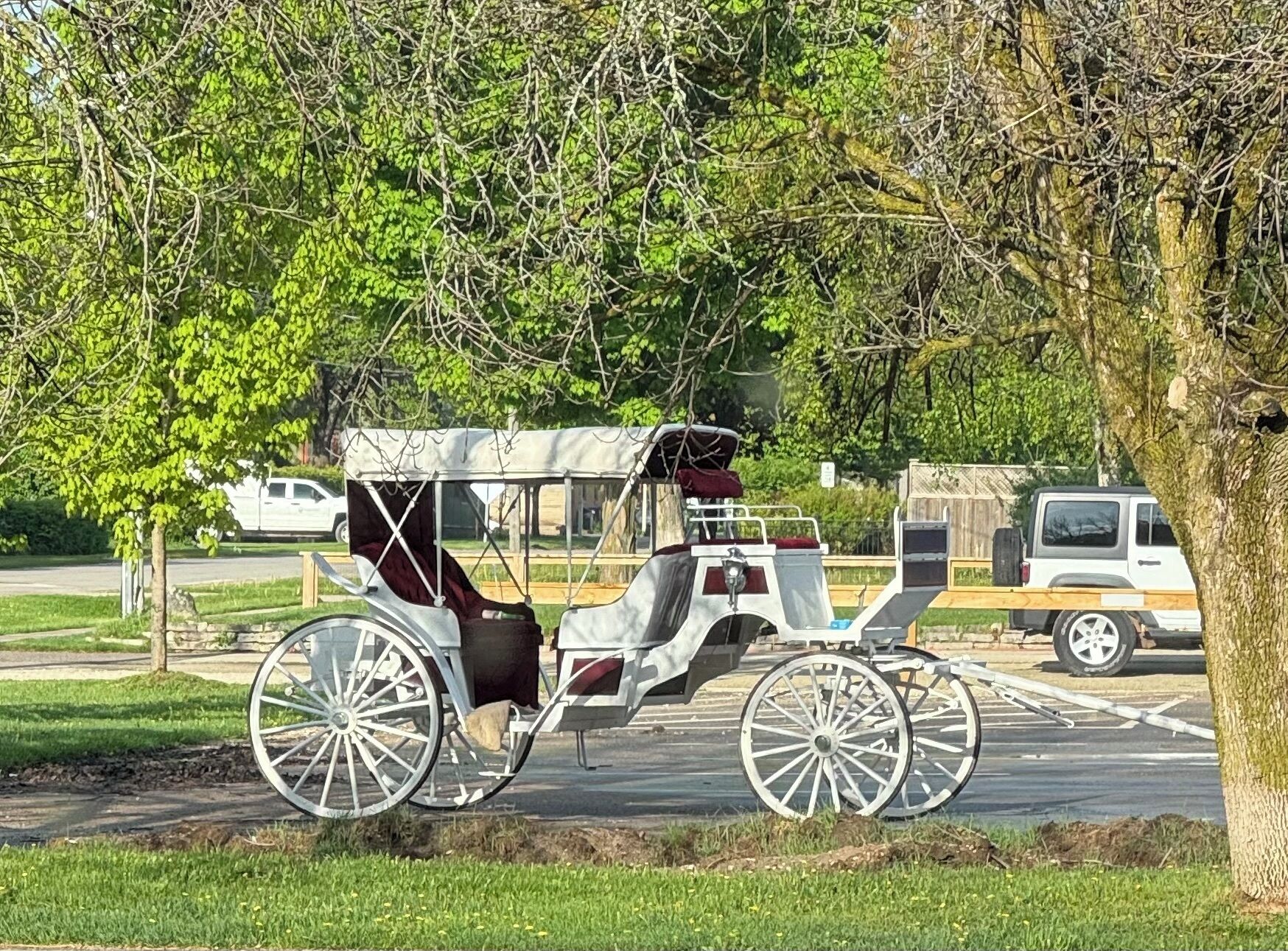 Un carruaje tirado por caballos estacionado en una calle.