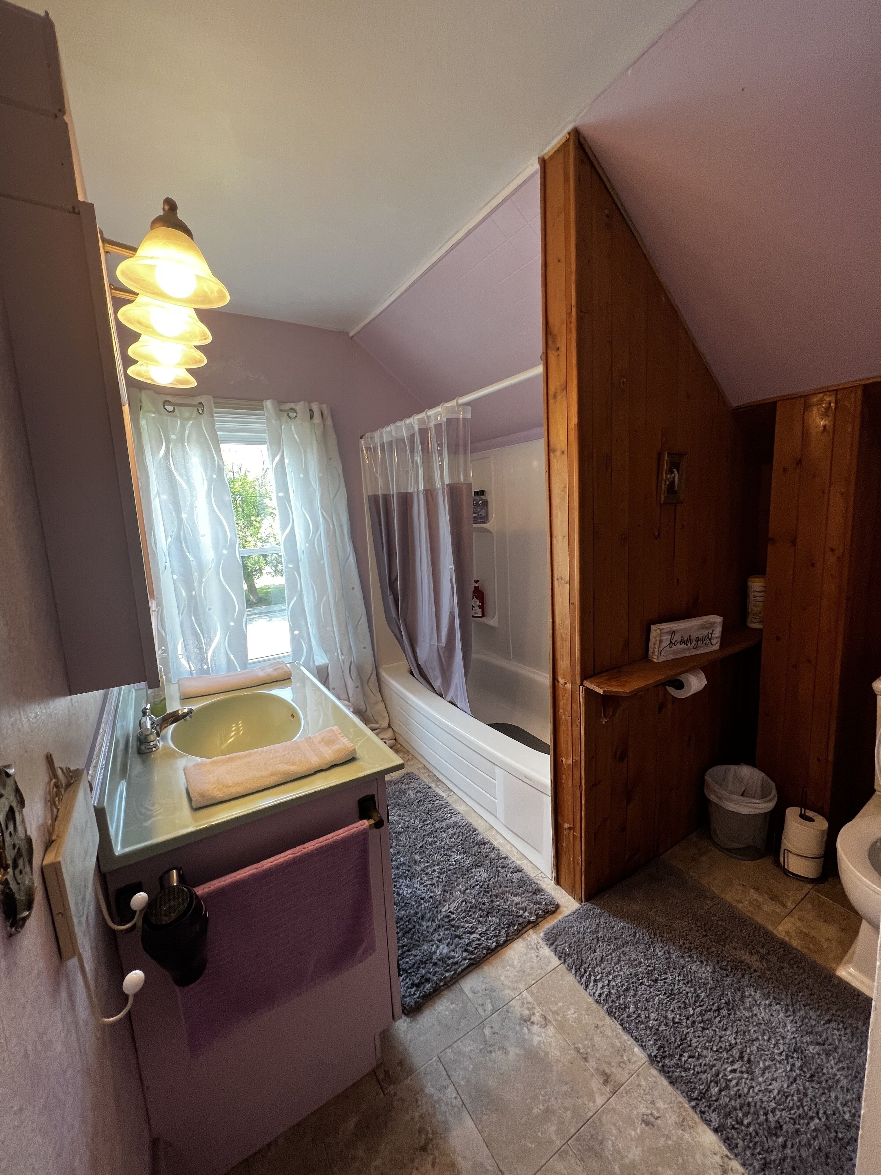 Un bagno con lavandino, specchio, doccia e water.