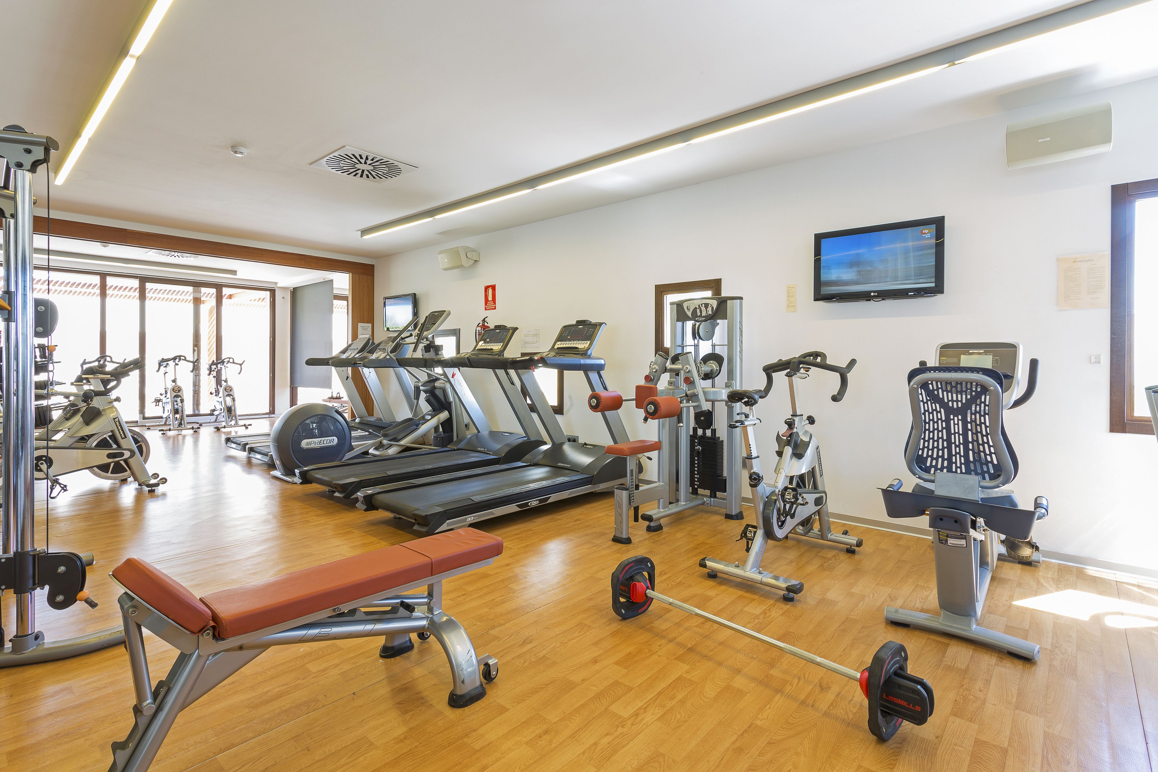 Un gimnasio con cintas de correr, máquinas de pesas y un banco.