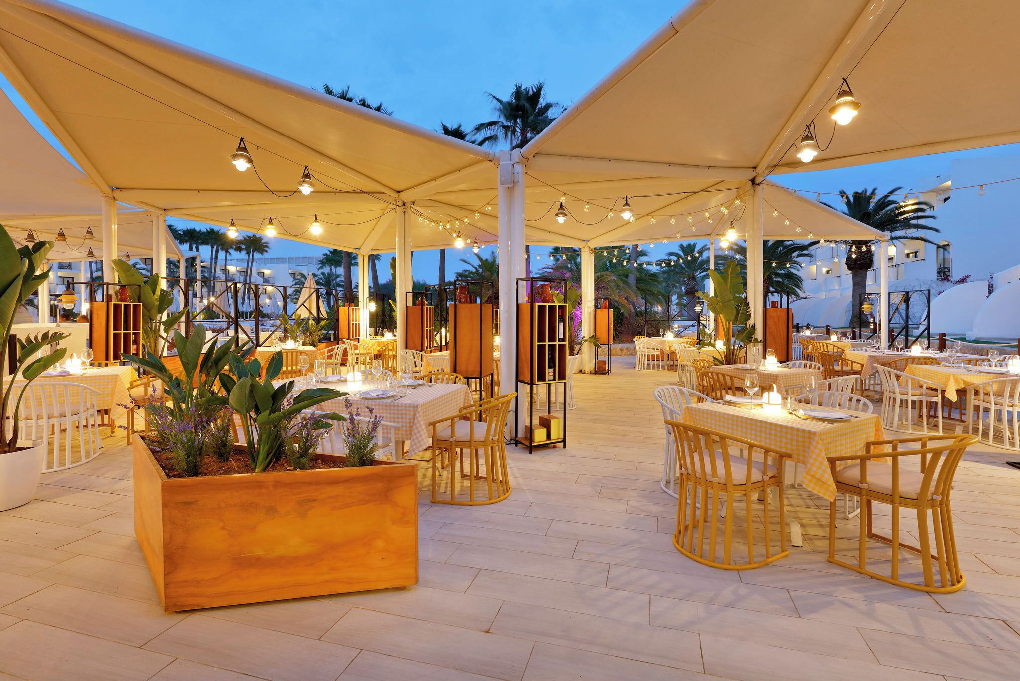 An outdoor dining area with tables and chairs, covered by large umbrellas, and surrounded by potted plants.