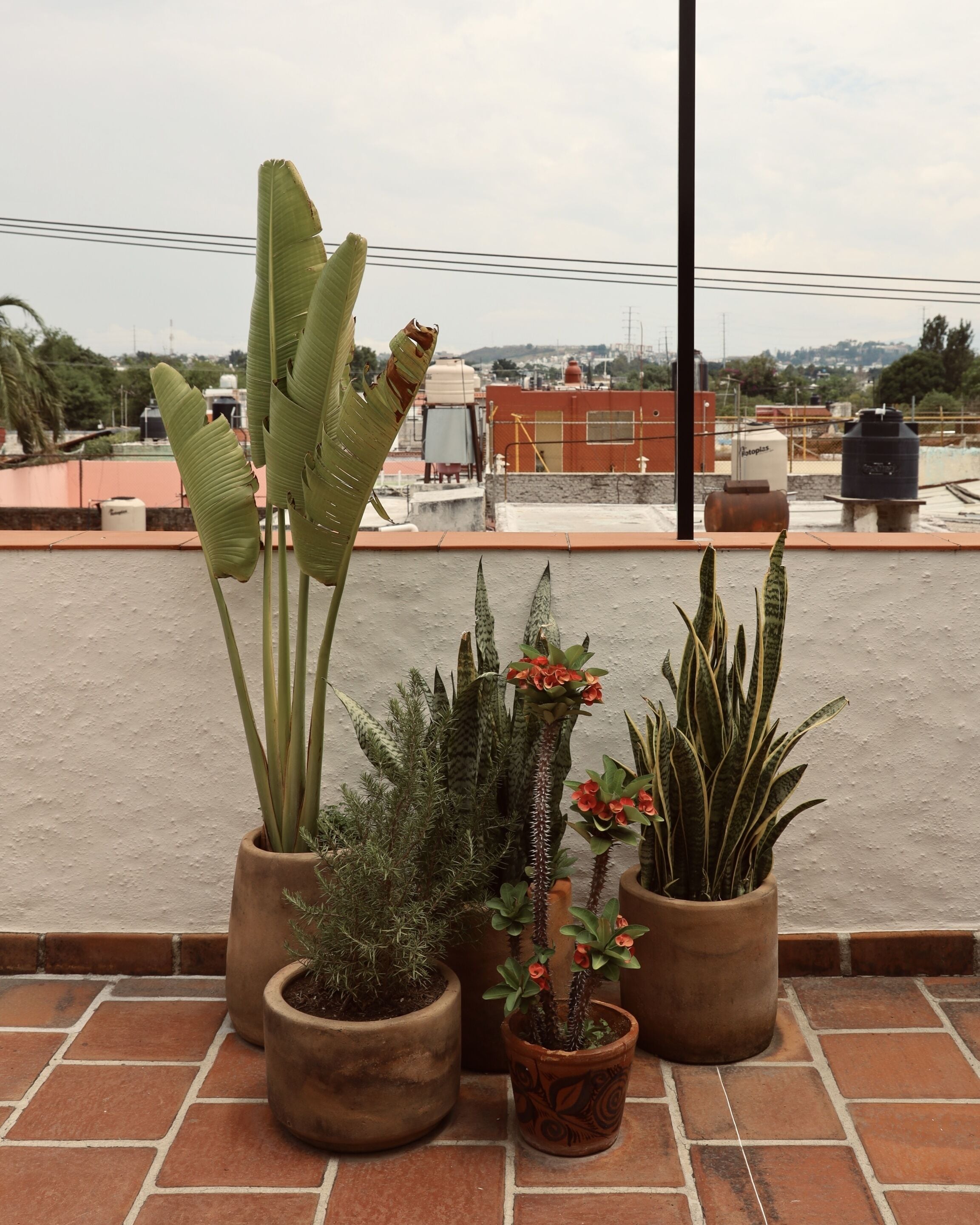 Gallery suite, 1 kingsize bed, terras, uitzicht op de stad (El Dorado Honeymoon Suite) | Uitzicht vanaf balkon