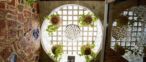 A circular skylight with a grid pattern, surrounded by hanging planters with green foliage.