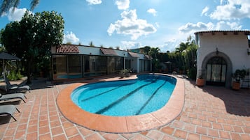 Outdoor pool, sun loungers