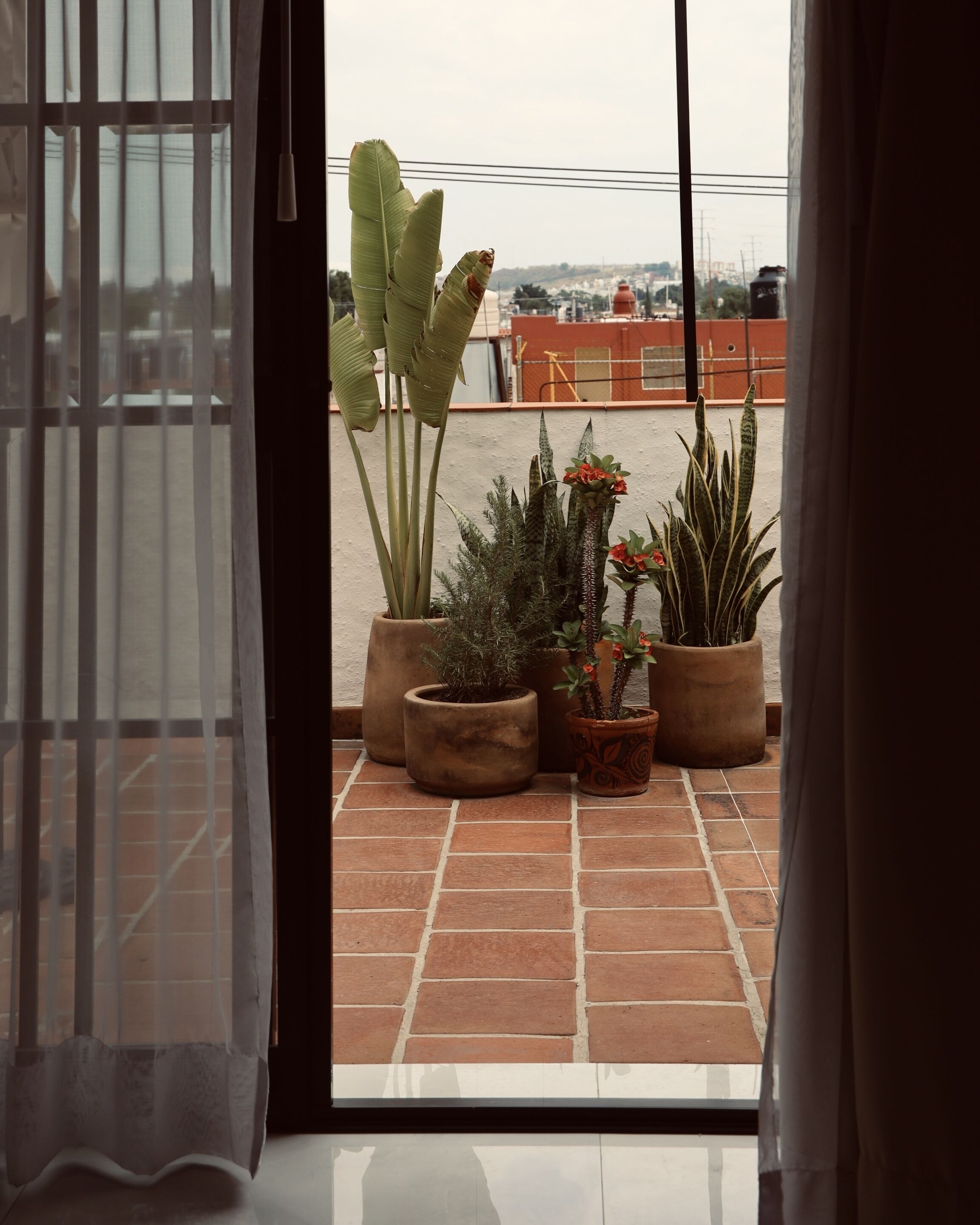 Gallery suite, 1 kingsize bed, terras, uitzicht op de stad (El Dorado Honeymoon Suite) | Uitzicht vanaf balkon