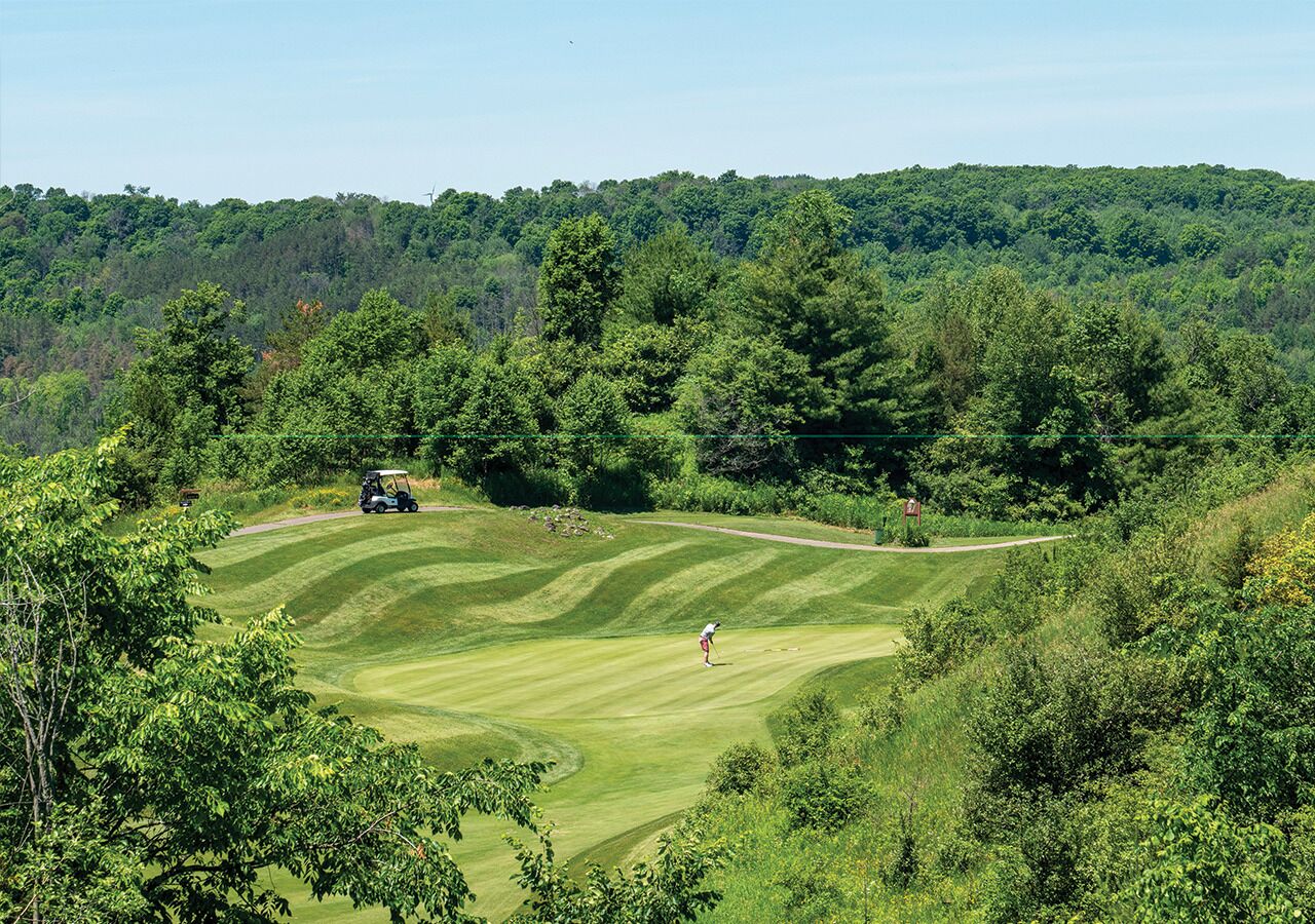 Un campo de golf con un green impecable, un carrito de golf y un golfista en pleno juego.