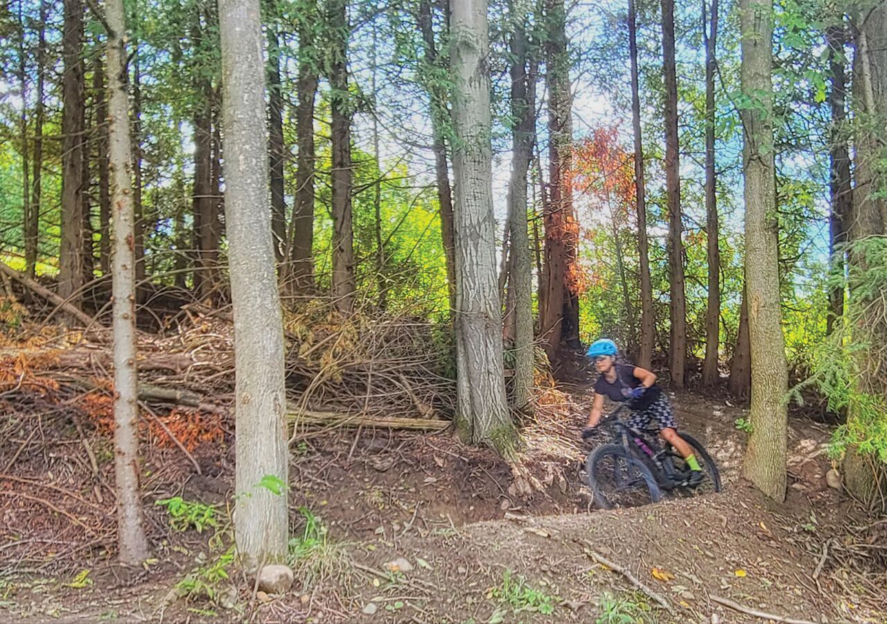 Zona boscosa con una persona montando en bicicleta de montaña.