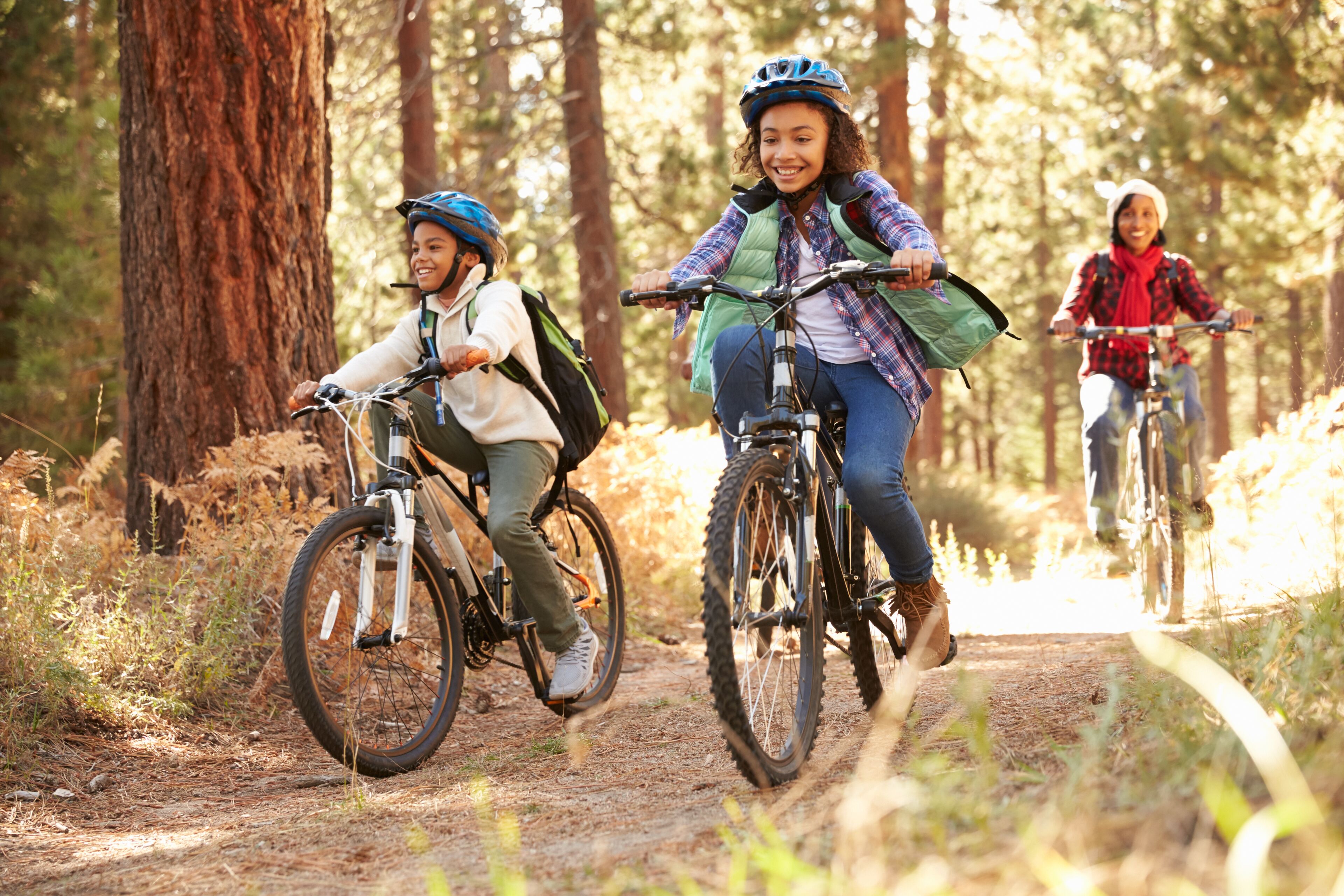 Three people riding bicycles on a forest trail.