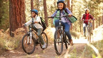 Three people riding bicycles on a forest trail.