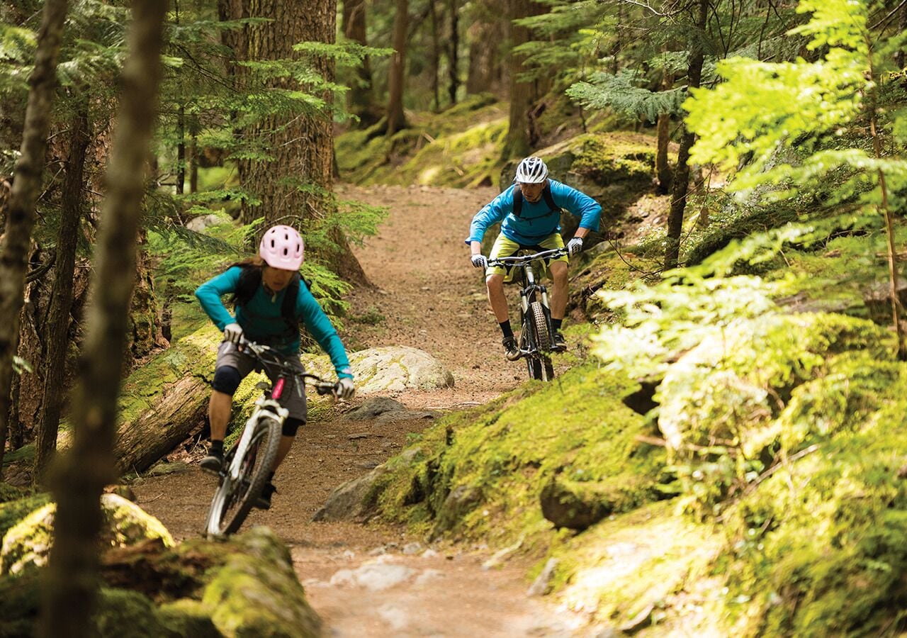 Two mountain bikers on a forest trail.