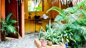 A small, rustic outdoor area with a wooden door, a small sink, and potted plants. - Hostal San Pancho - Hostel (San Francisco)
