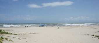 Sunchase Beachfront Condo