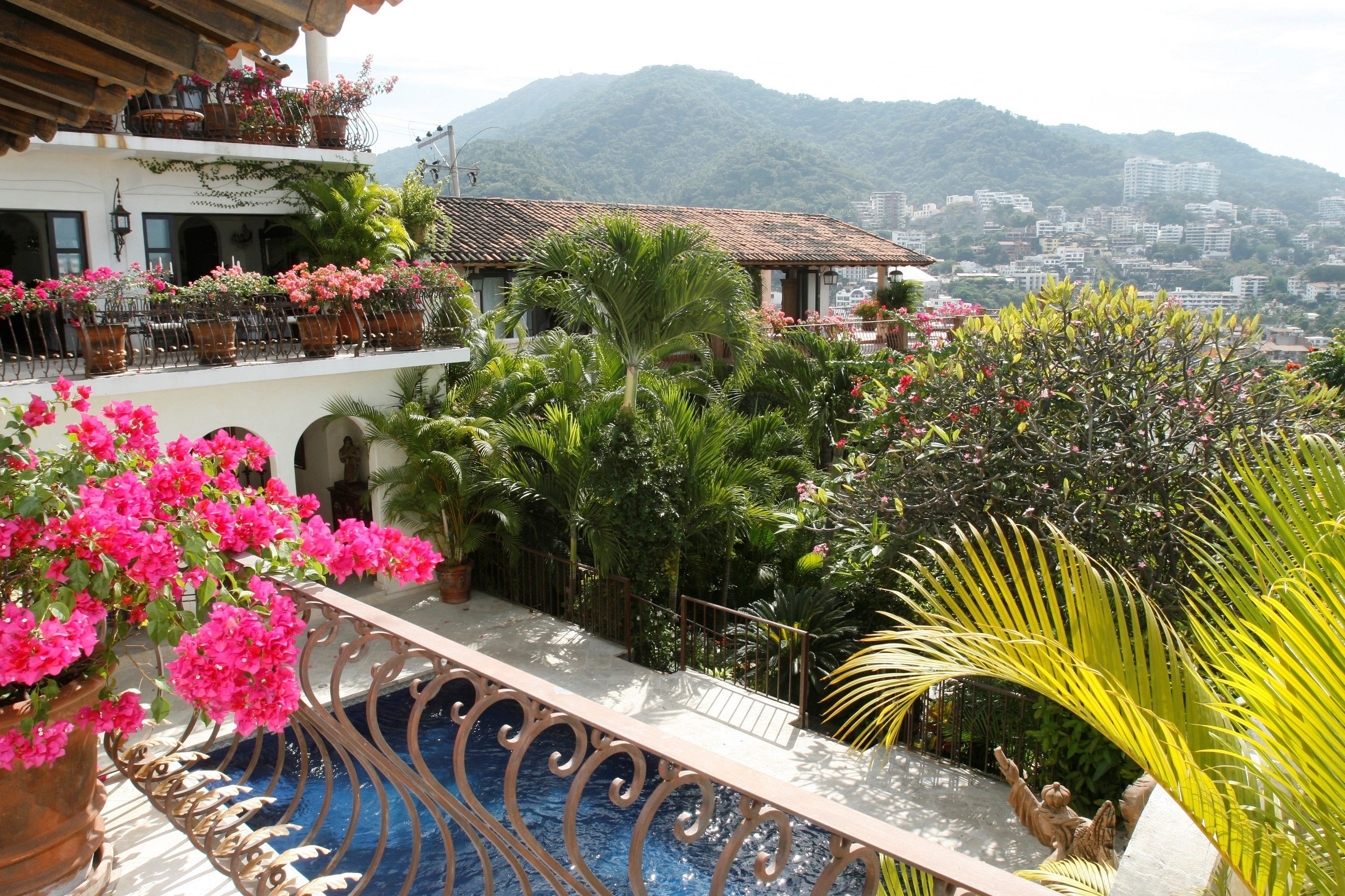 A poolside area with a view of a mountain, surrounded by lush greenery and potted plants.
