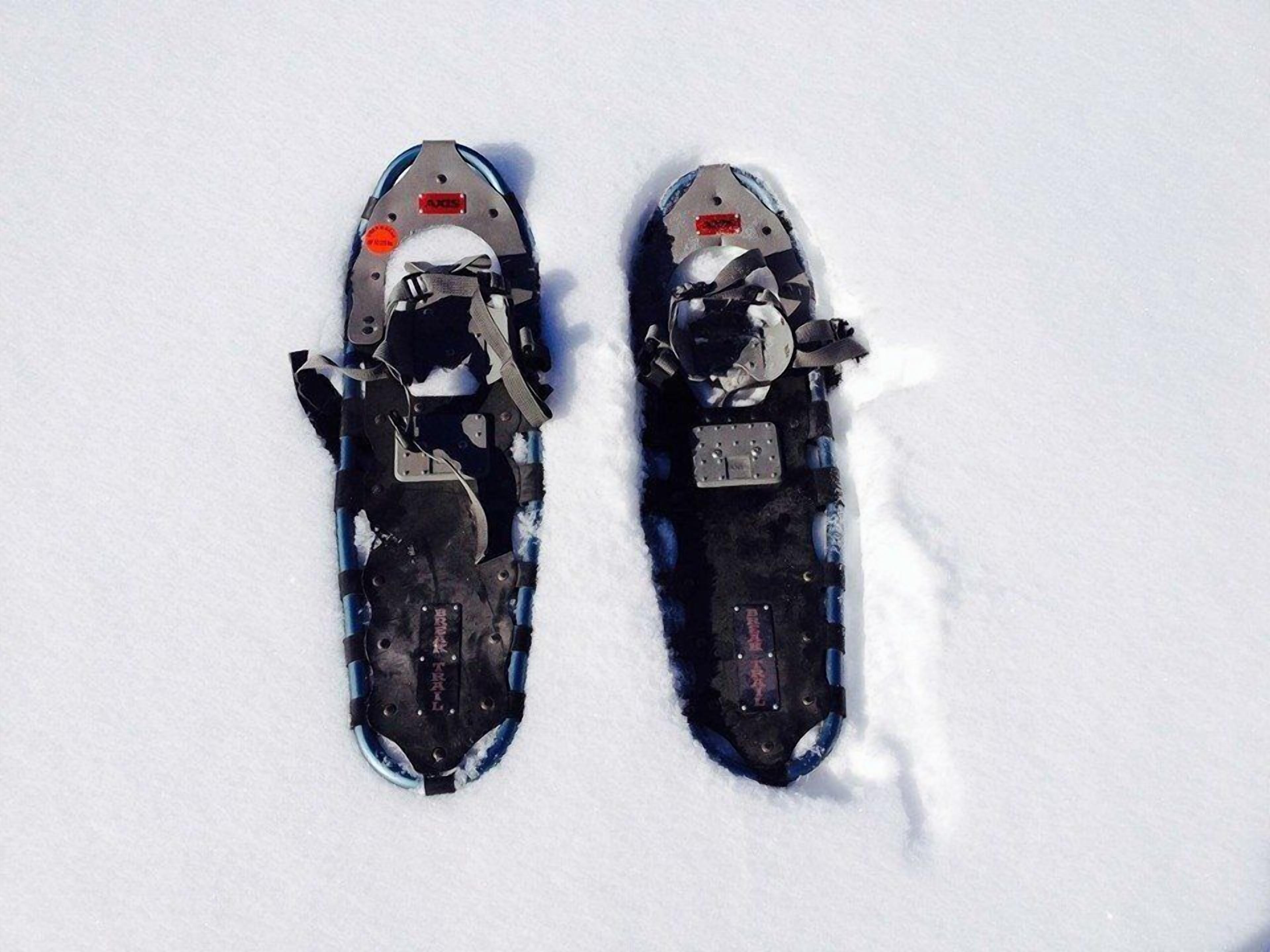Un par de raquetas de nieve sobre nieve.