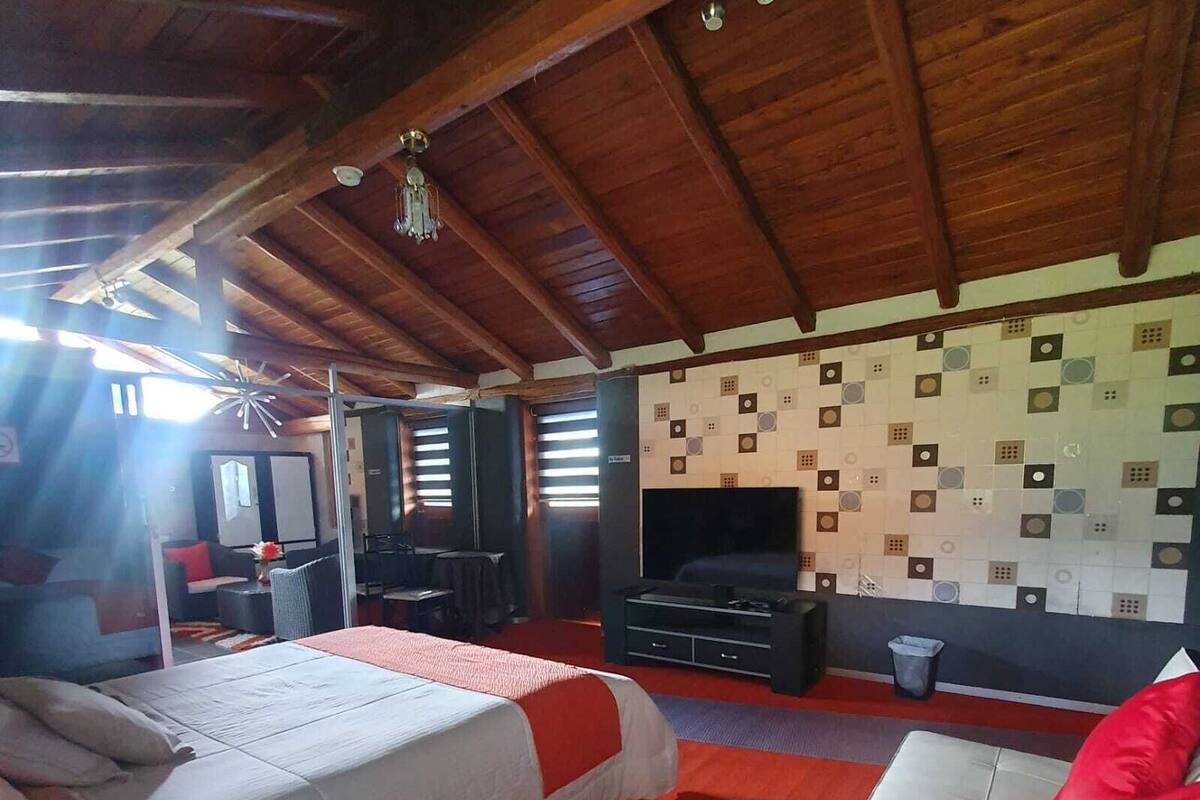 Una habitación con dos camas, televisión y un papel pintado decorativo.