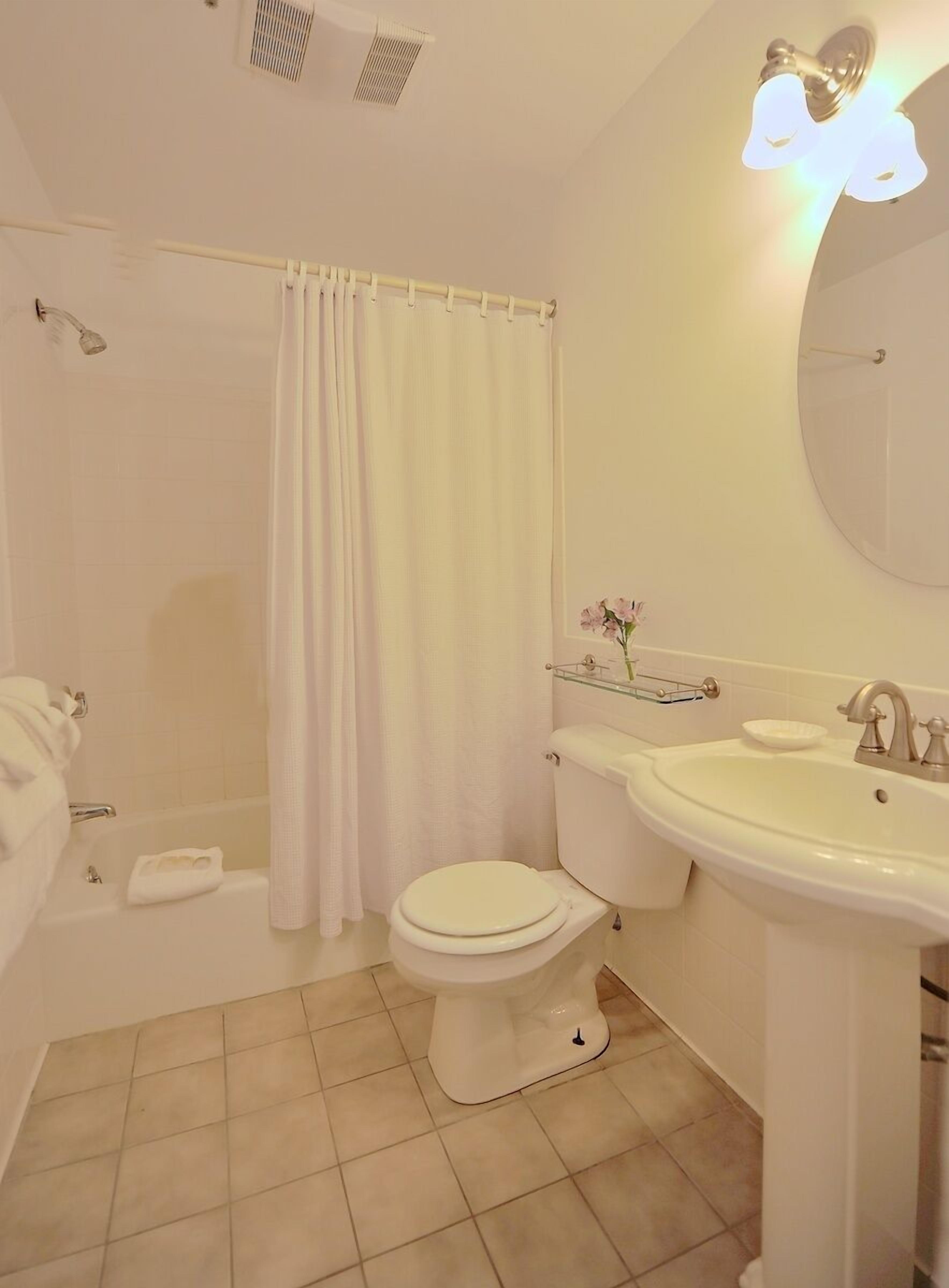 combined shower/bathtub, free toiletries, hair dryer, towels