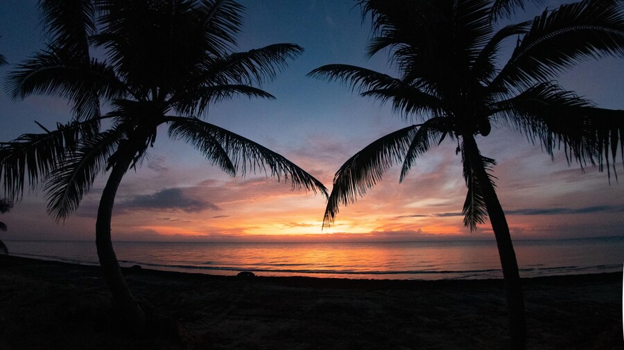 Margarita del Sol Costa Maya