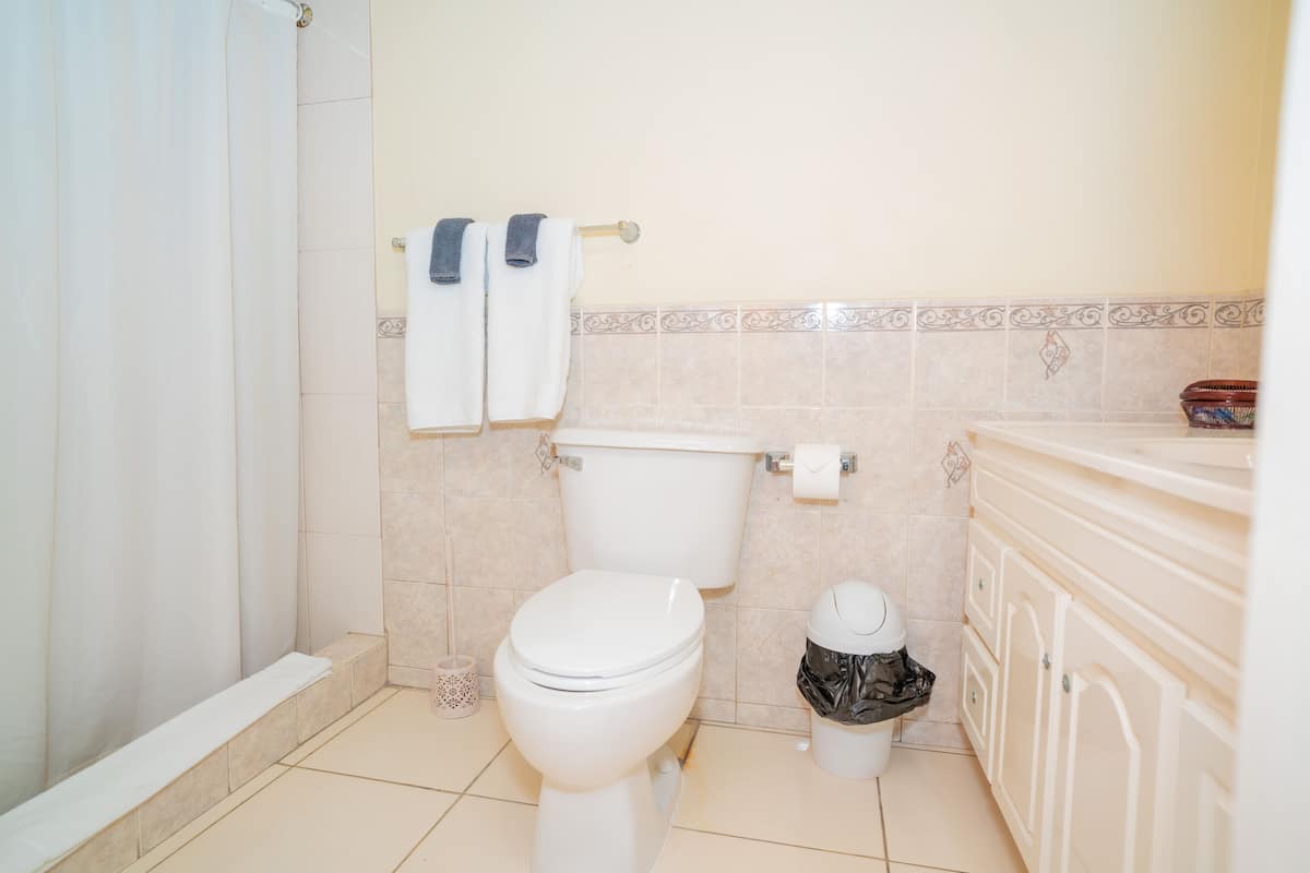 classic room, 1 double bed, kitchen | bathroom | shower, free toiletries, hair dryer, towels