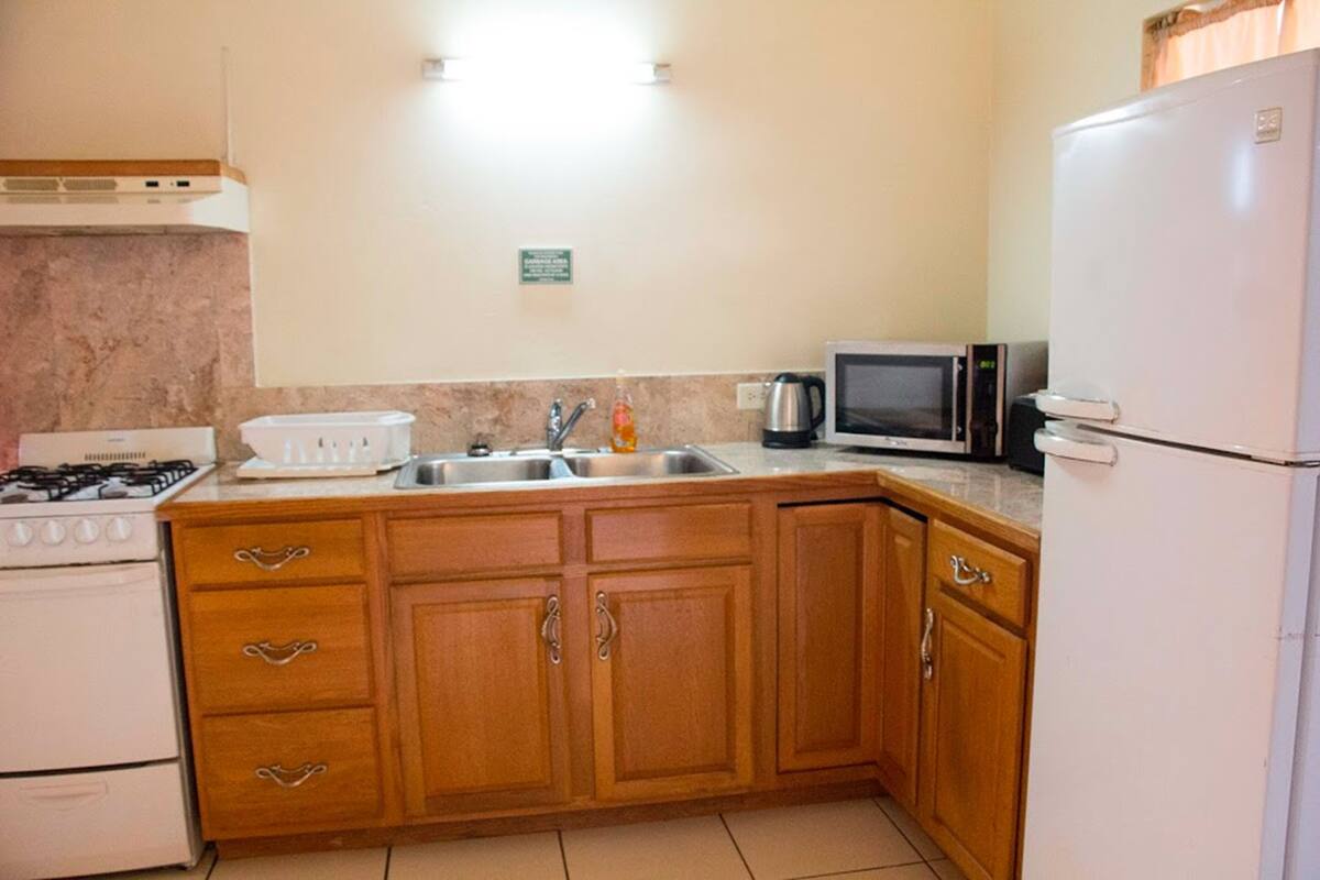deluxe suite, 1 king bed | private kitchen | fridge, microwave, oven, stovetop