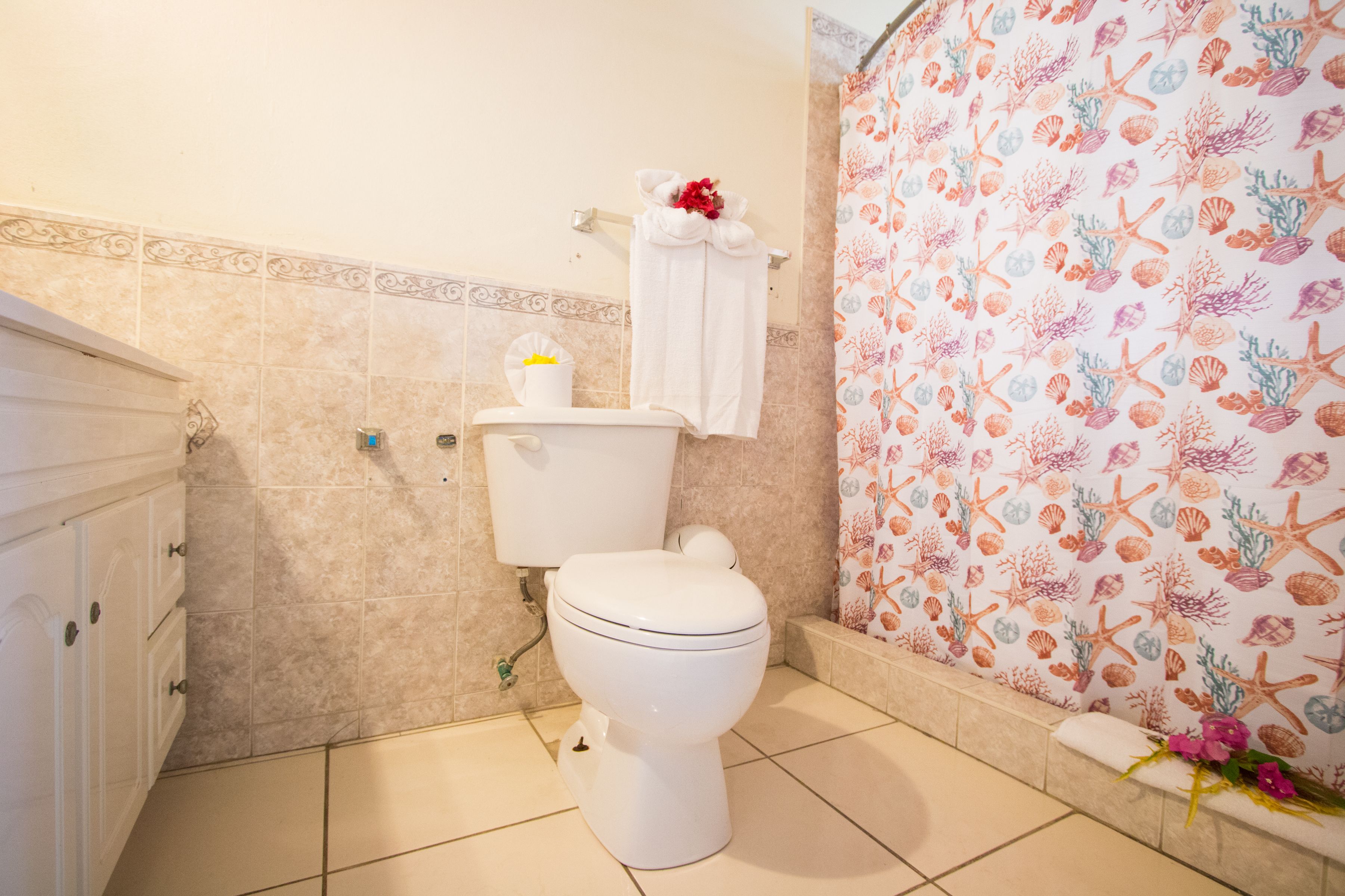 economy room, 2 single beds, ground floor | bathroom | shower, free toiletries, hair dryer, towels