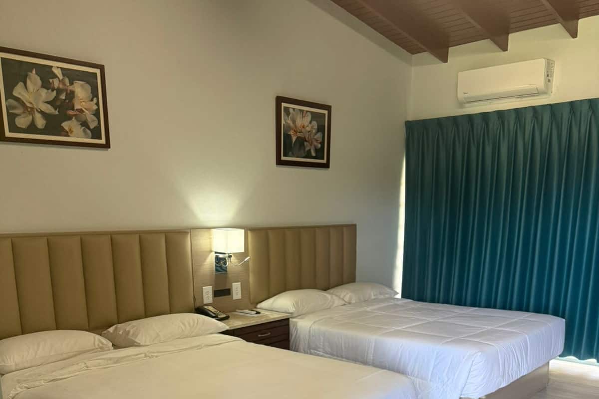 Deluxe Studio with Patio | Individually furnished, desk, iron/ironing board, free WiFi