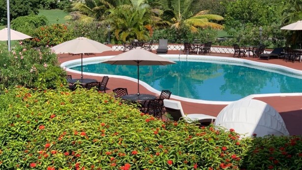 Una piscina rodeada de sillones y sombrillas, con abundante vegetación y palmeras al fondo.
