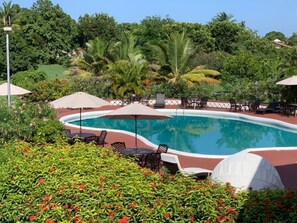 Una piscina rodeada de sillones y sombrillas, con abundante vegetación y palmeras al fondo.