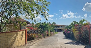 A paved driveway leading to a building with a red roof, surrounded by lush greenery and flowering plants.