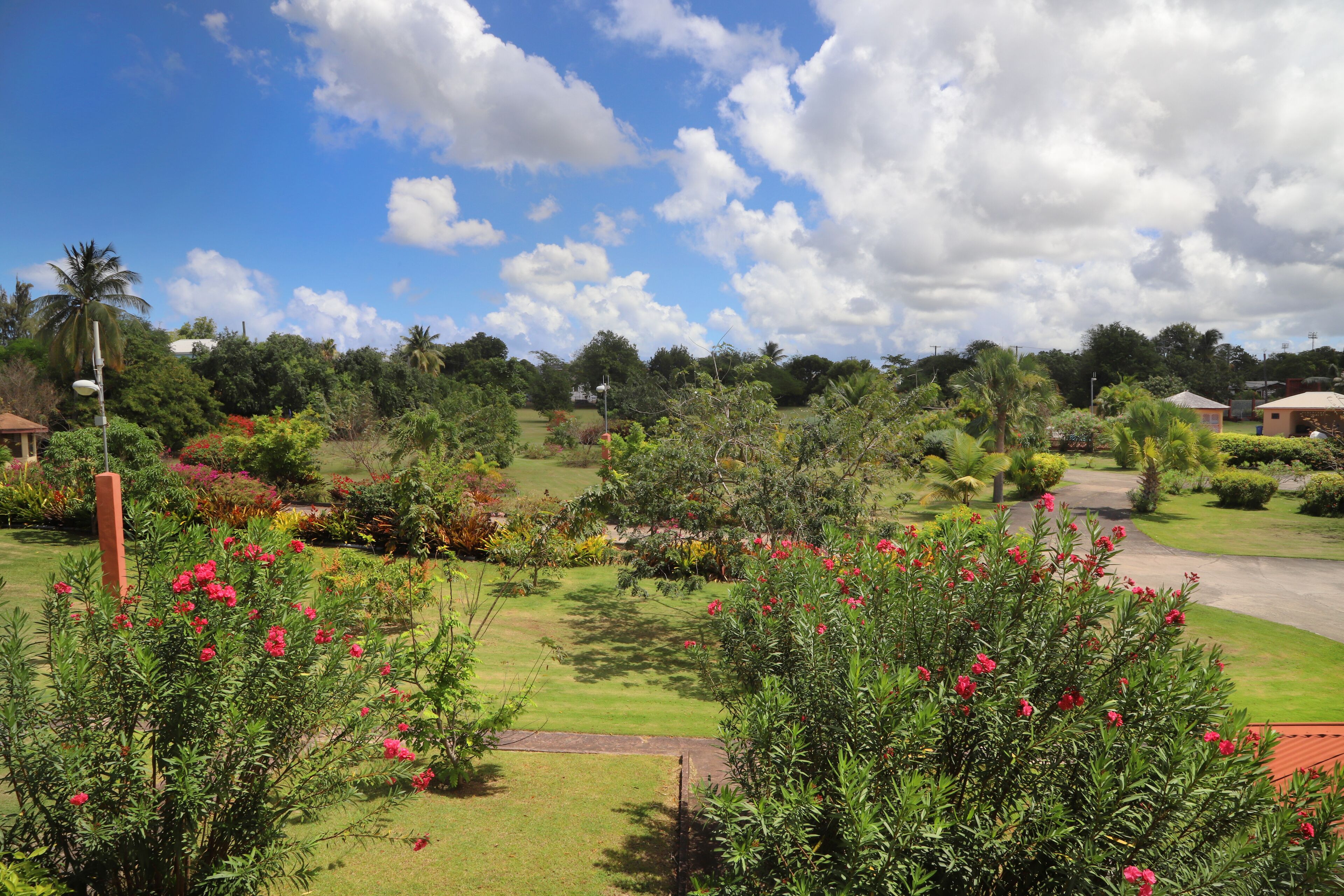 Deluxe Studio with Patio | Garden view