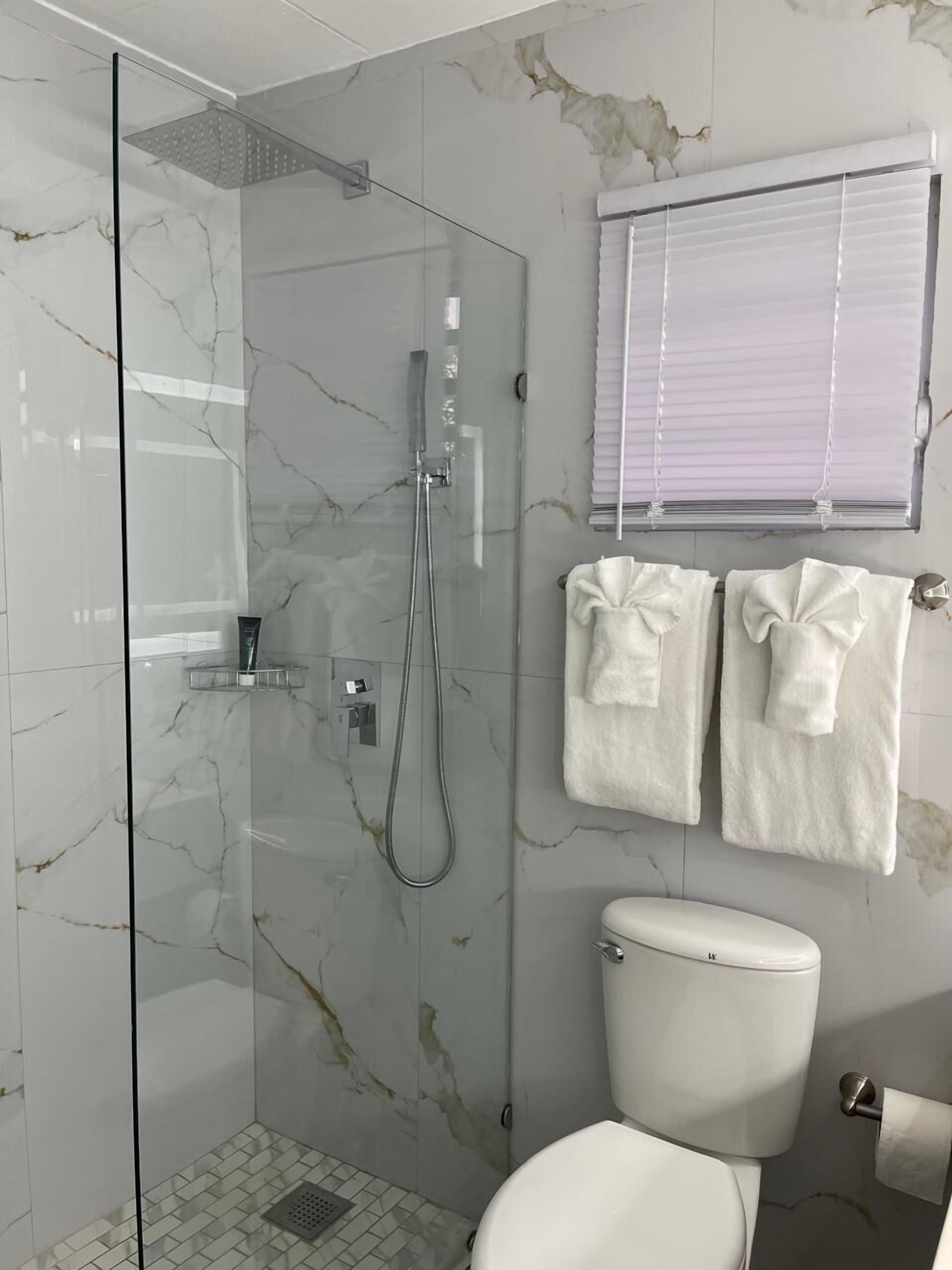 A bathroom with a glass-enclosed shower, a toilet, and two towels hanging on a rack.