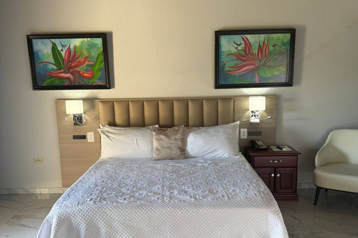 Deluxe Single Room | Desk, iron/ironing board, WiFi (free), individually furnished