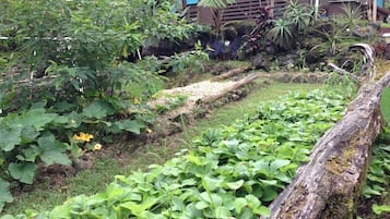 花園