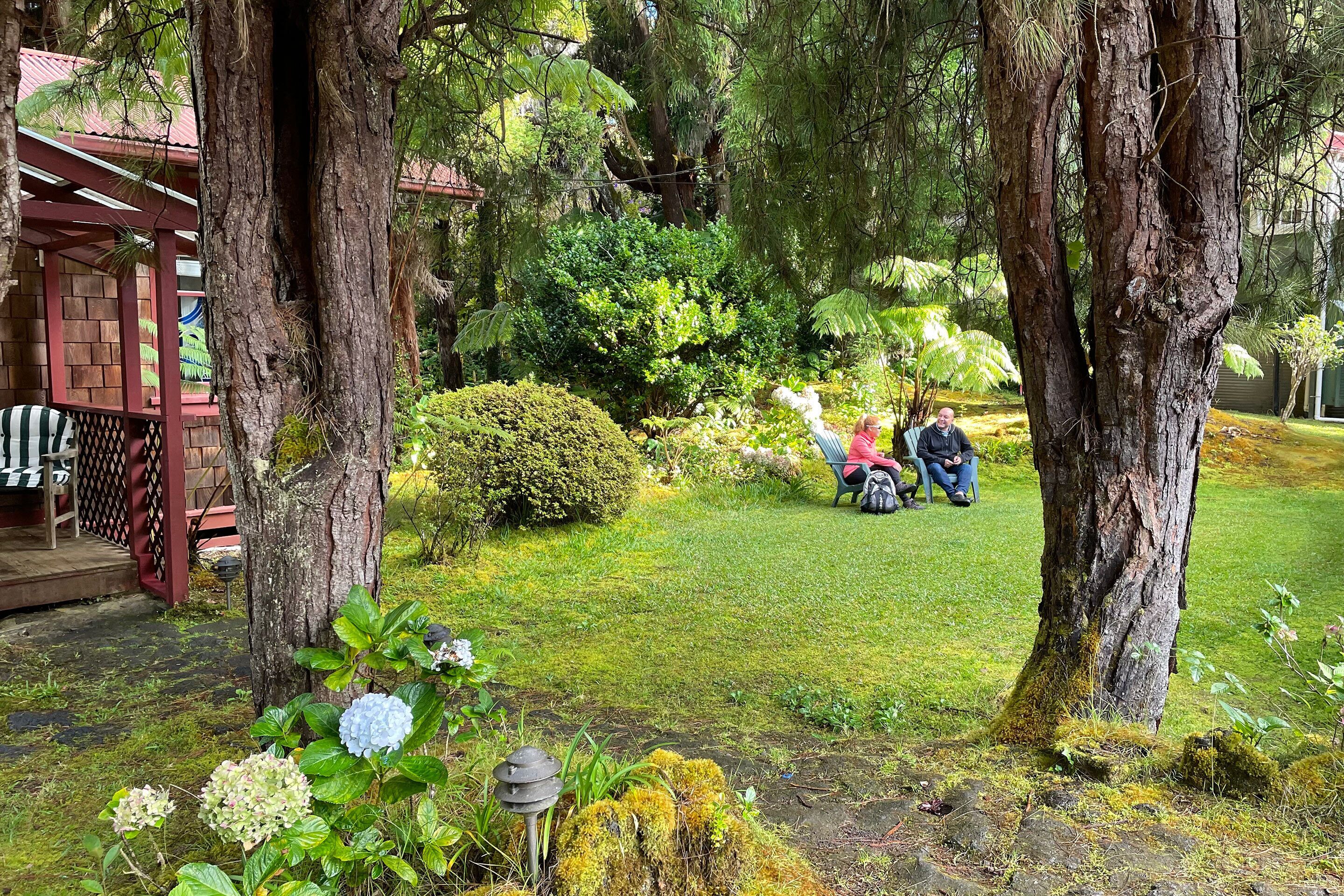 A garden with trees, a wooden deck, and a grassy area.